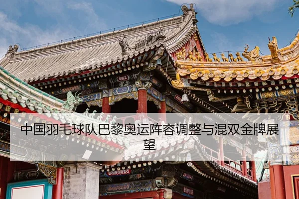 中国羽毛球队巴黎奥运阵容调整与混双金牌展望 - 6tsports